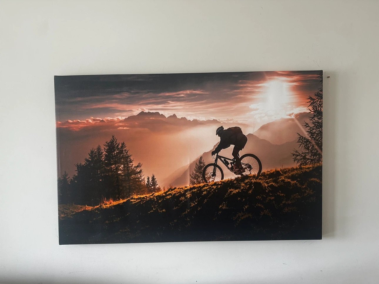 Mountain Biker Sunset Canvas Wall Art
