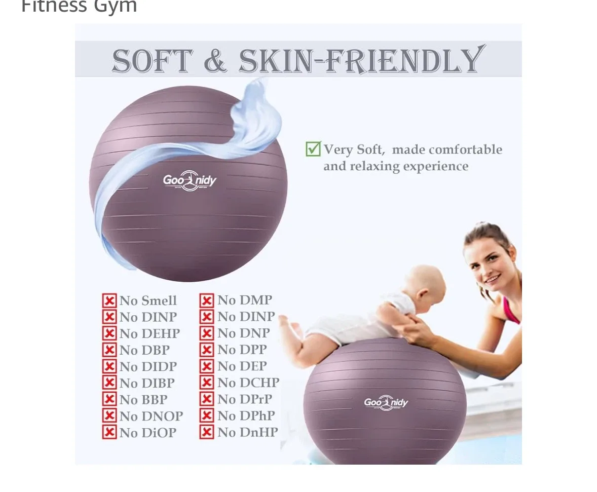 Brand new Good Nidy Exercise Ball with Pump