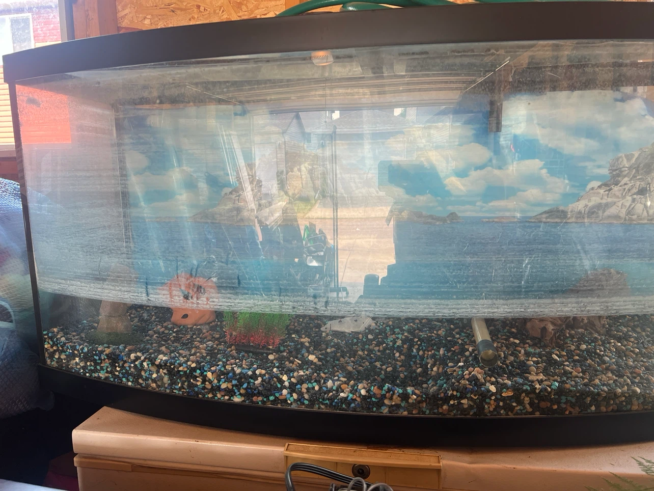 Curved Glass Aquarium Tank - photo 2