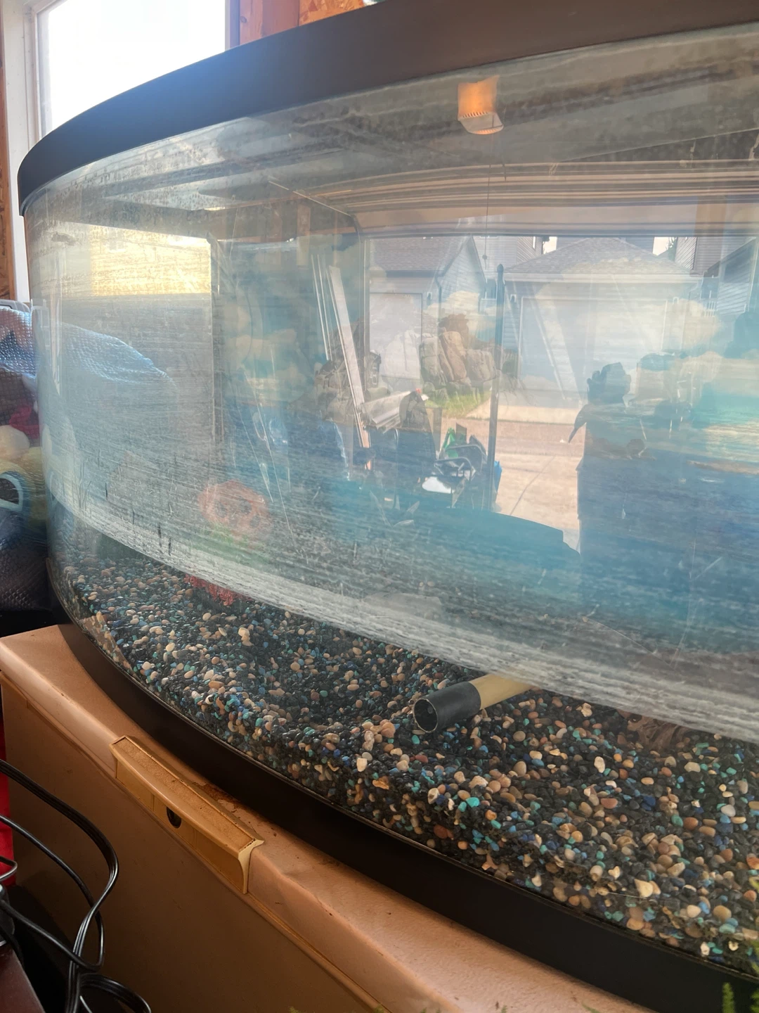 Curved Glass Aquarium Tank - photo 3