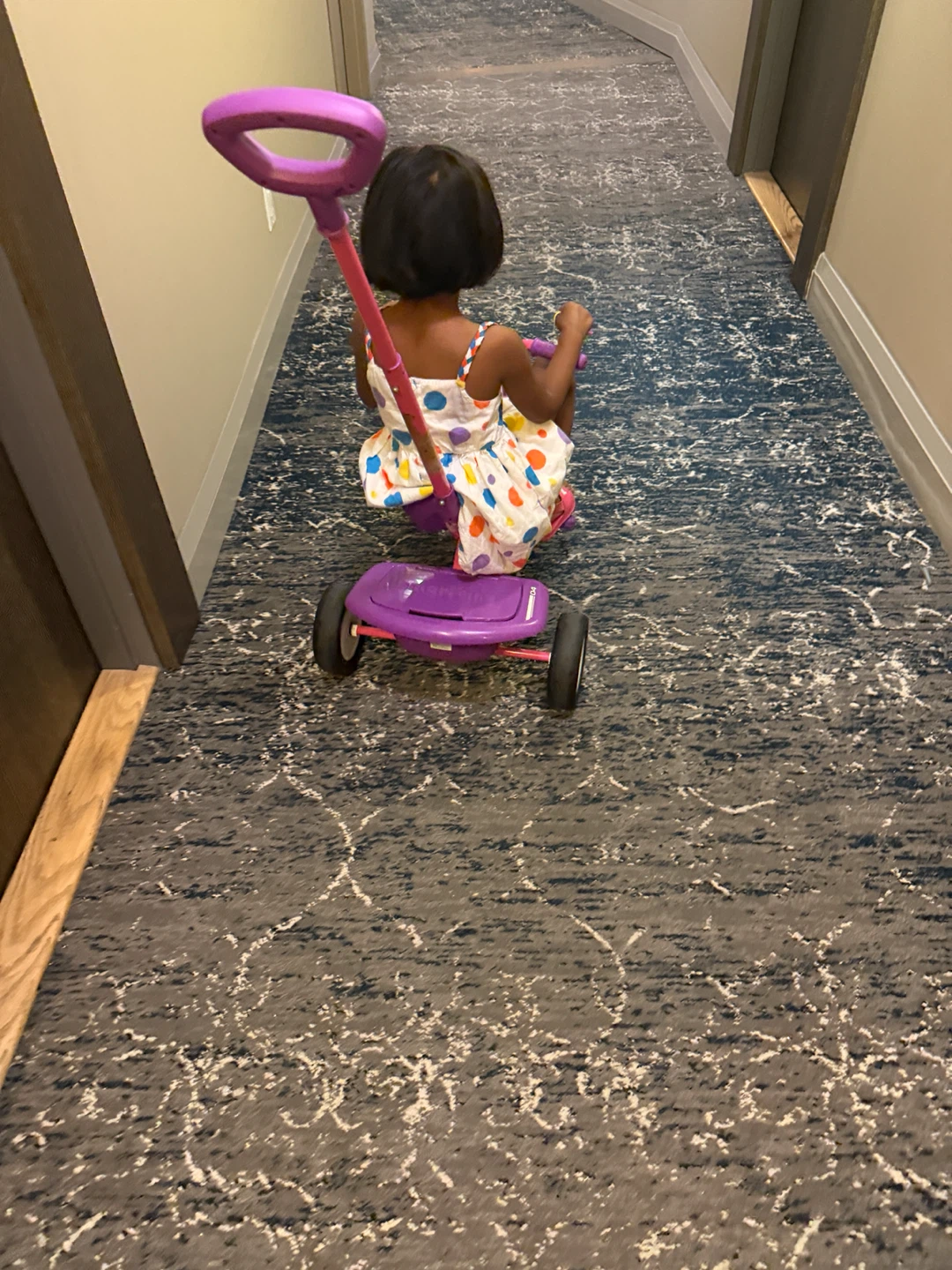 Paw Patrol Toddler Trike