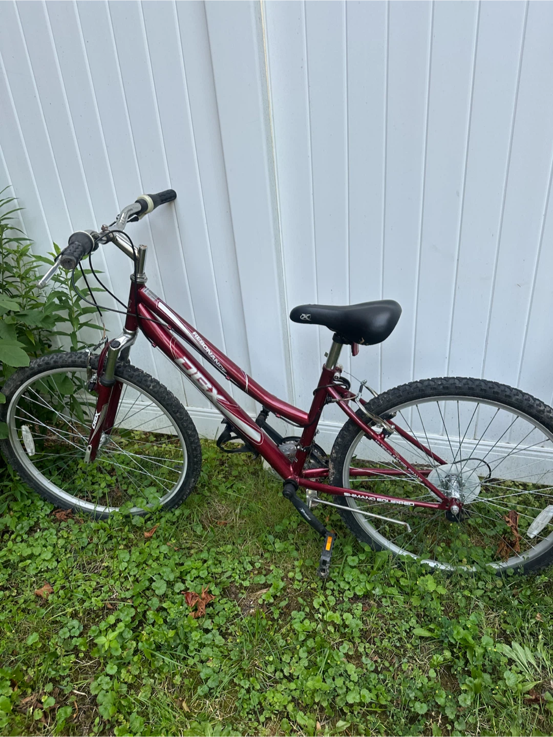 DBX Resonance Mountain Bike