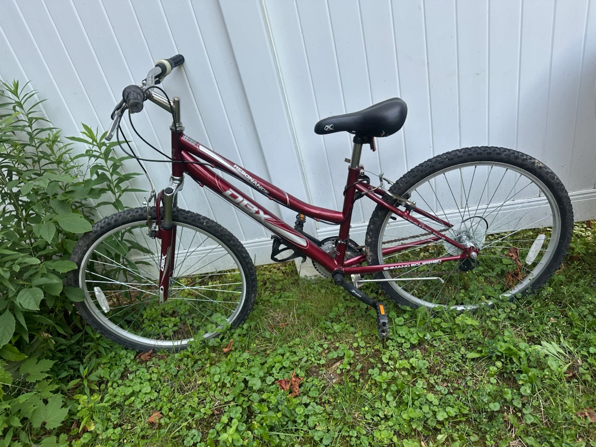 DBX Resonance Mountain Bike - photo 3