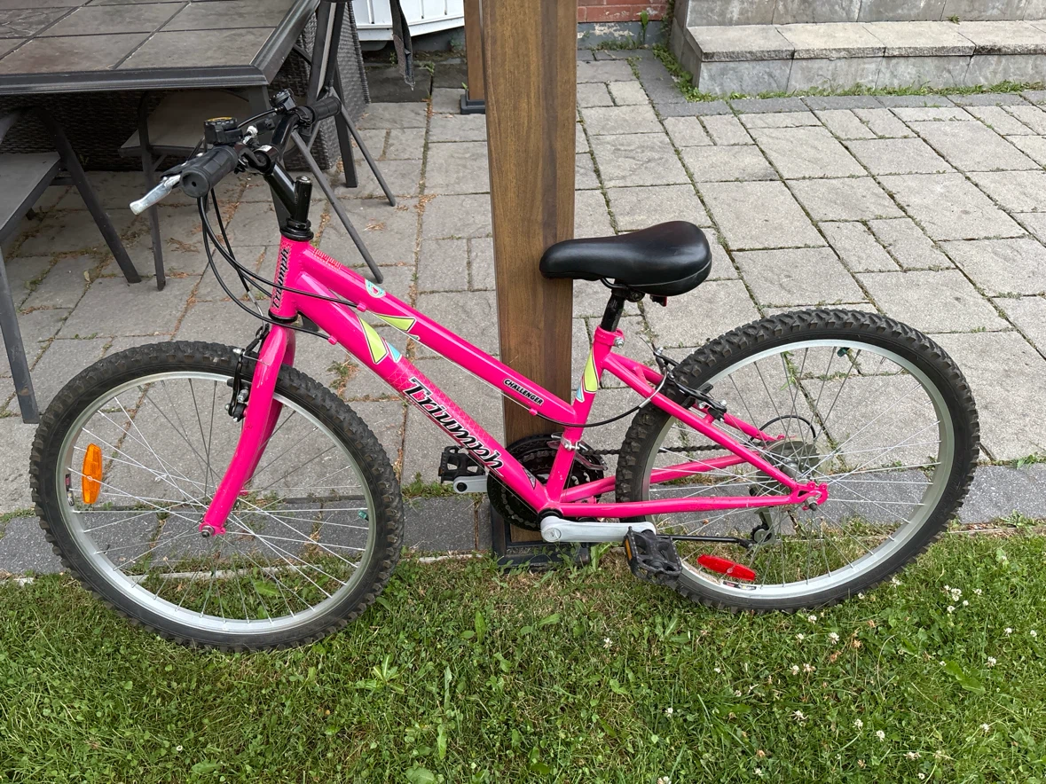 Pink Triumph Challenger Kids' Bike - photo 2