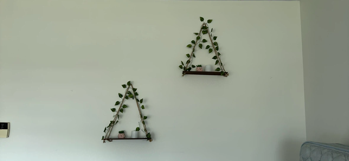 Geometric Terrarium with Mirrored Tray - photo 3