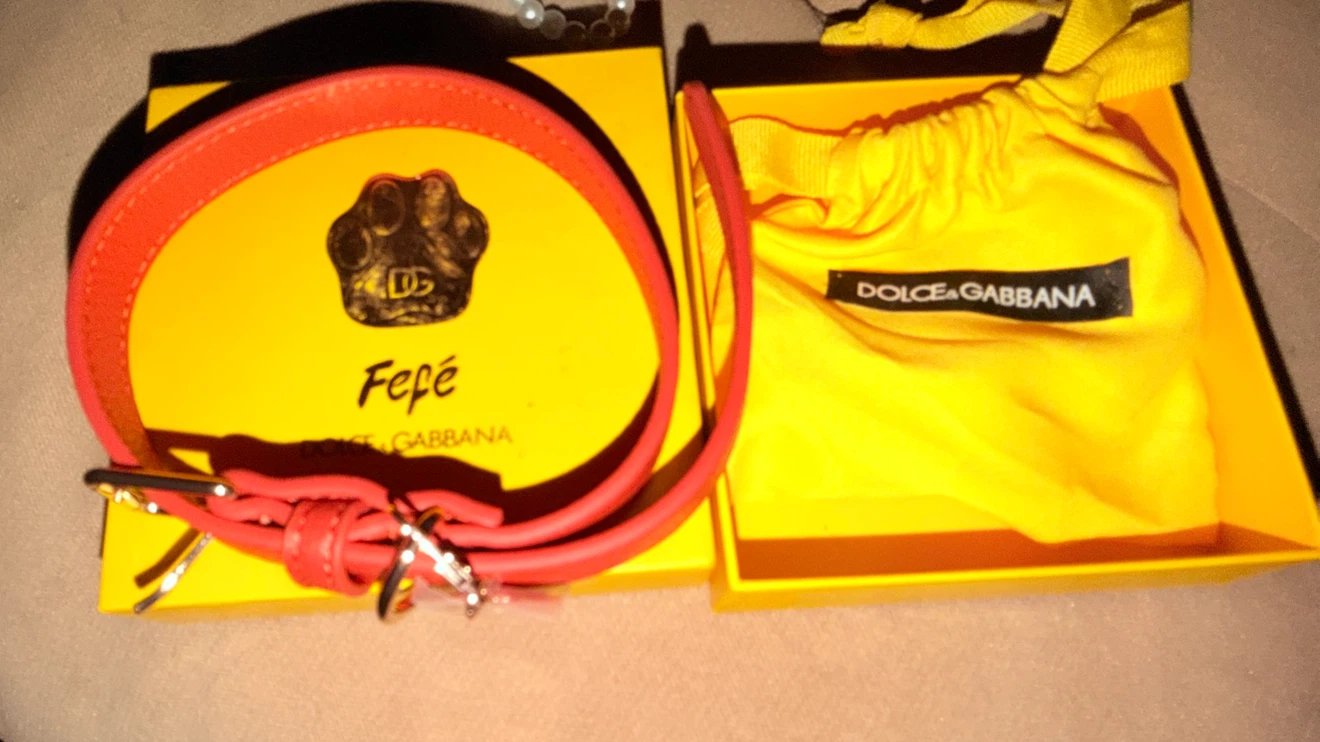 Dolce & Gabbana Fefe Red Dog Collar