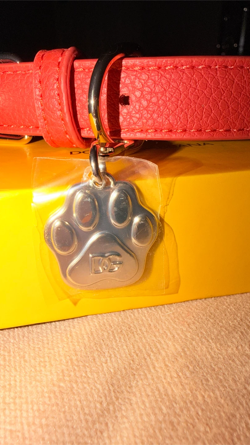 Dolce & Gabbana Fefe Red Dog Collar - photo 2