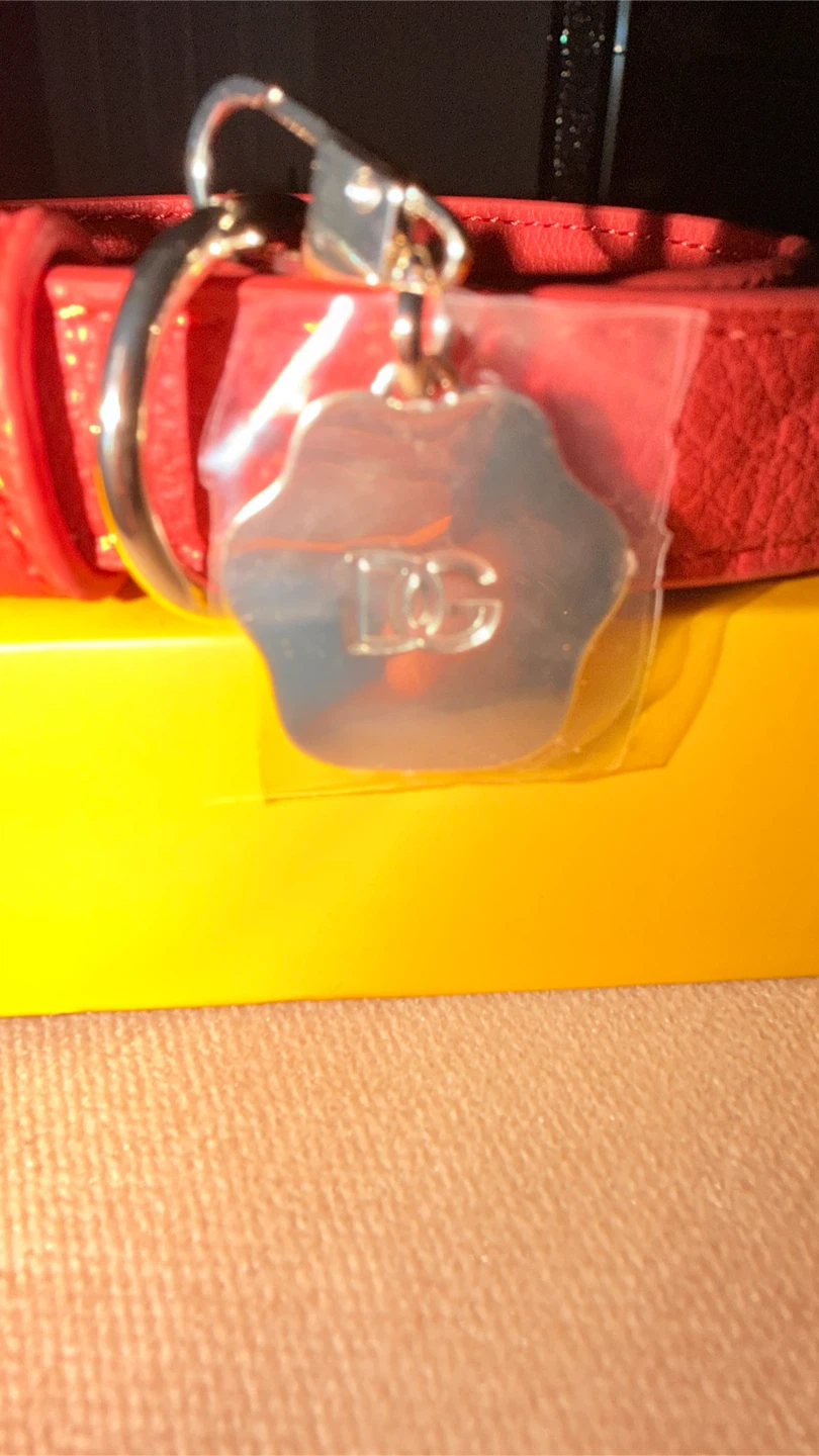 Dolce & Gabbana Fefe Red Dog Collar - photo 3