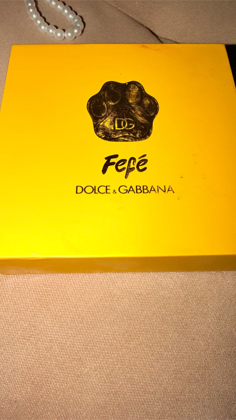 Dolce & Gabbana Fefe Red Dog Collar - photo 5