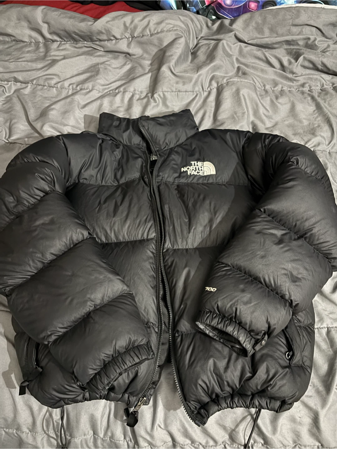 The North Face 700 Puffer Jacket