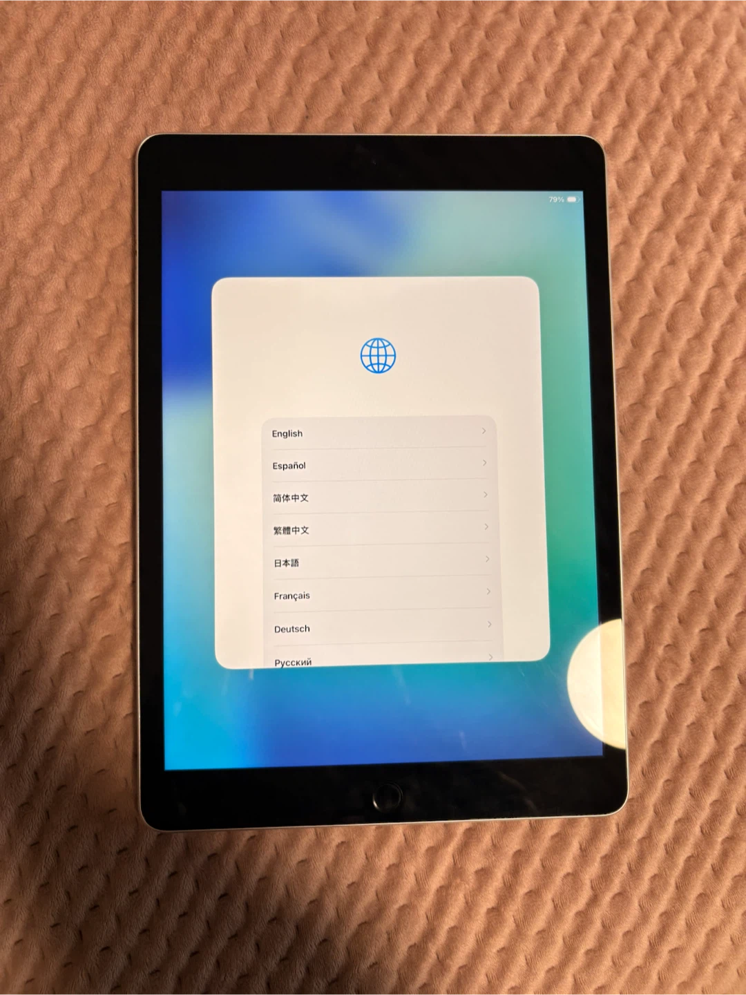 Apple iPad - Silver - photo 2