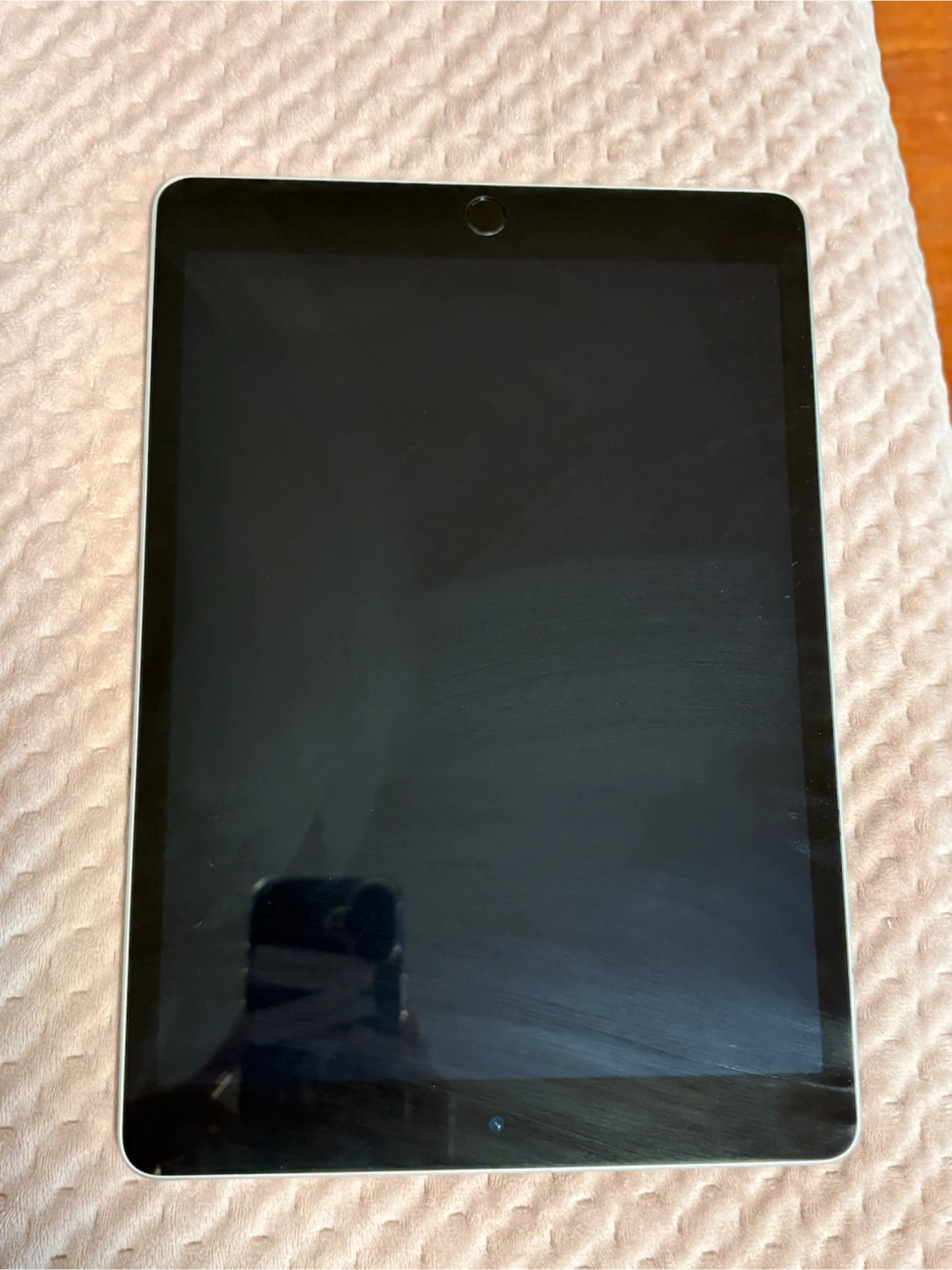 Apple iPad - Silver - photo 3