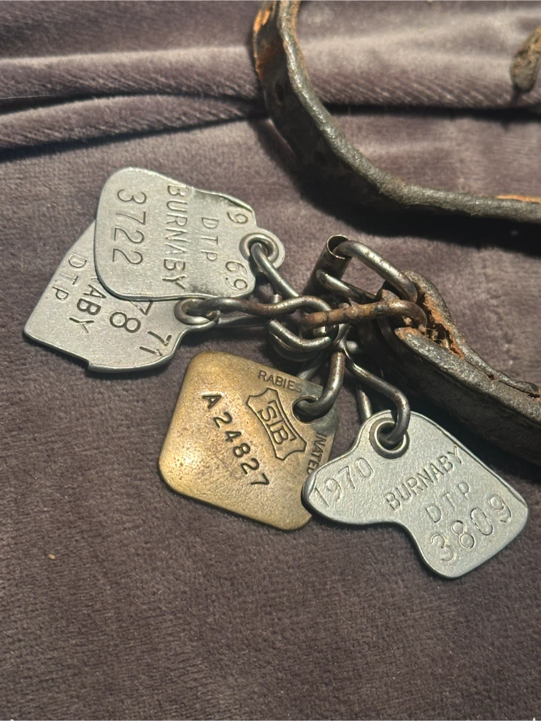 Vintage jewelled dog collar and tags