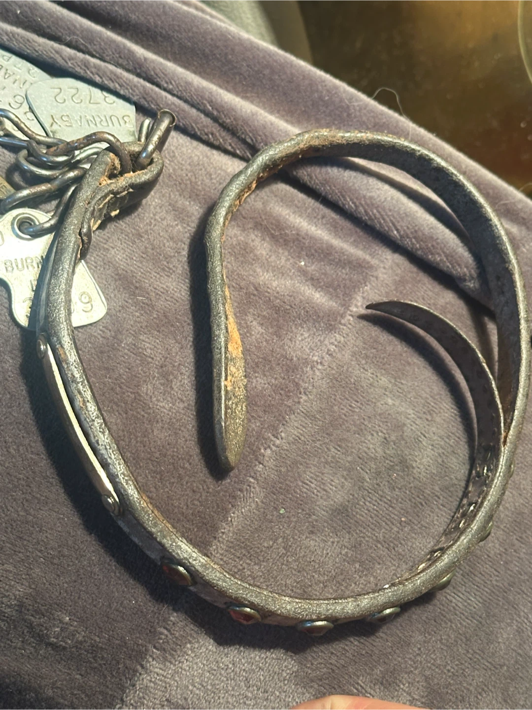 Vintage jewelled dog collar and tags - photo 2