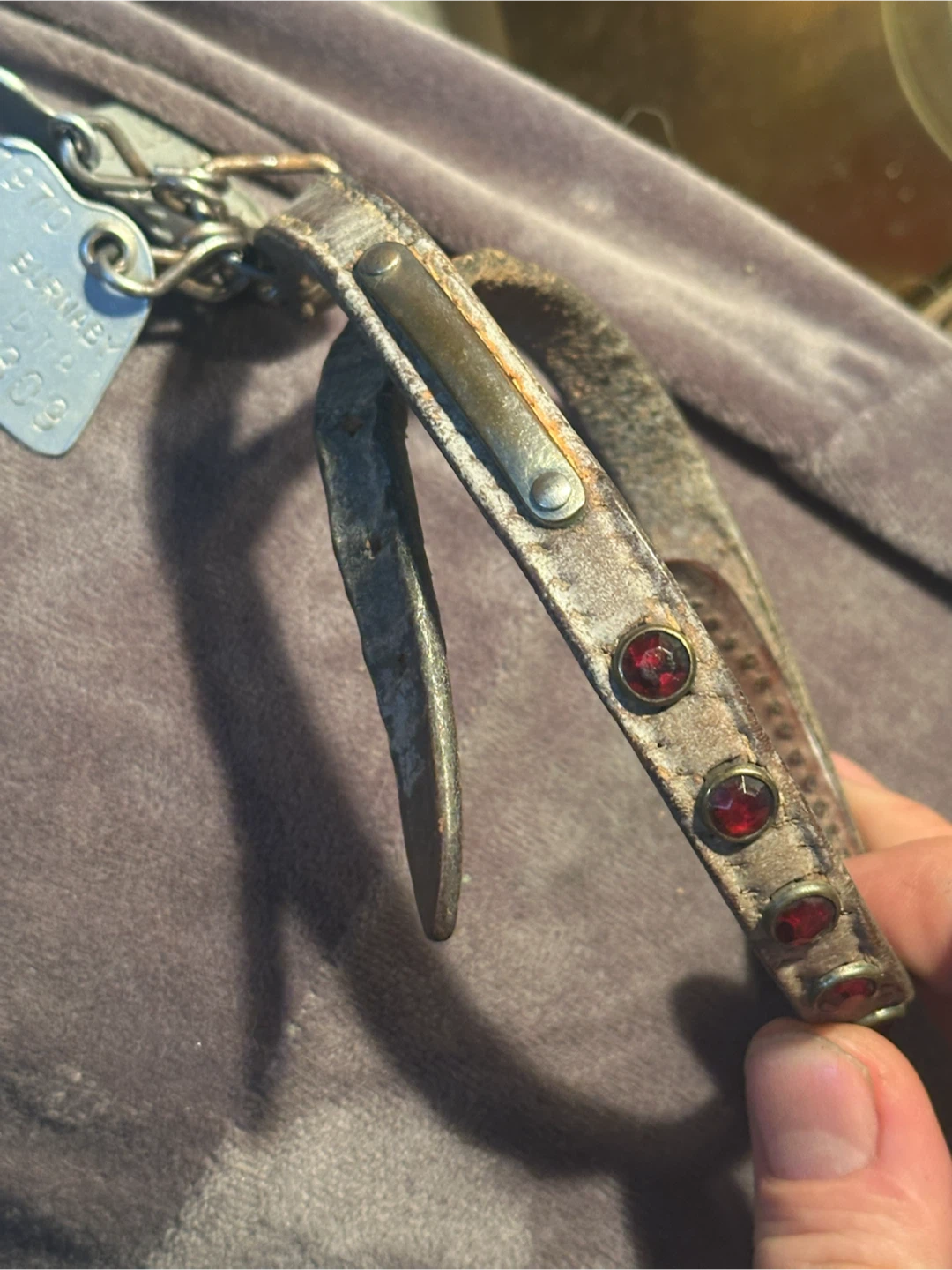 Vintage jewelled dog collar and tags - photo 3