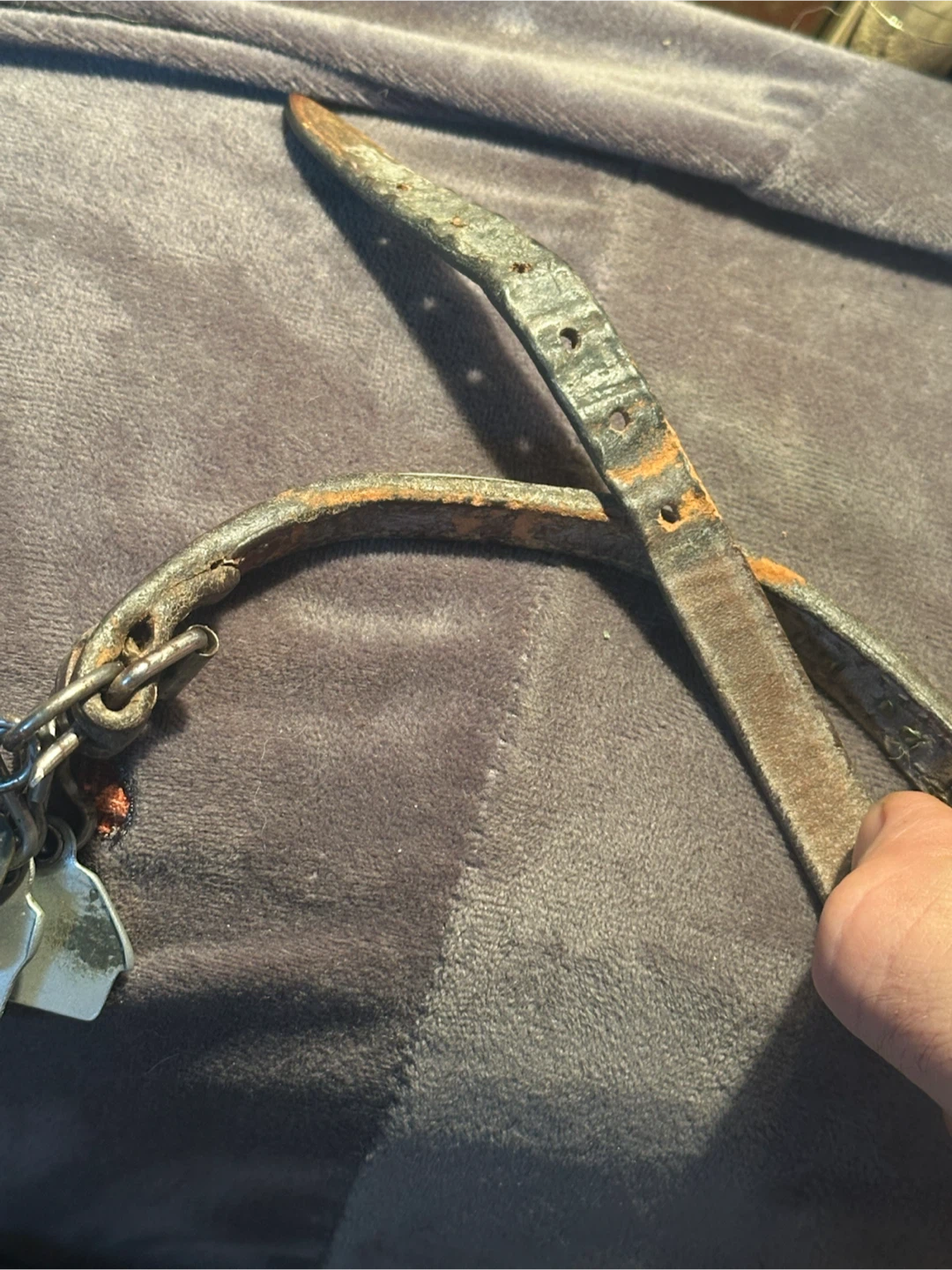 Vintage jewelled dog collar and tags - photo 5