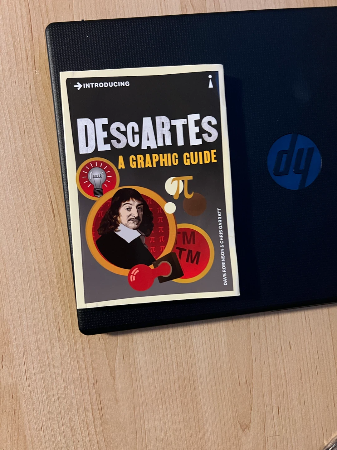 Introducing Descartes: A Graphic Guide Book