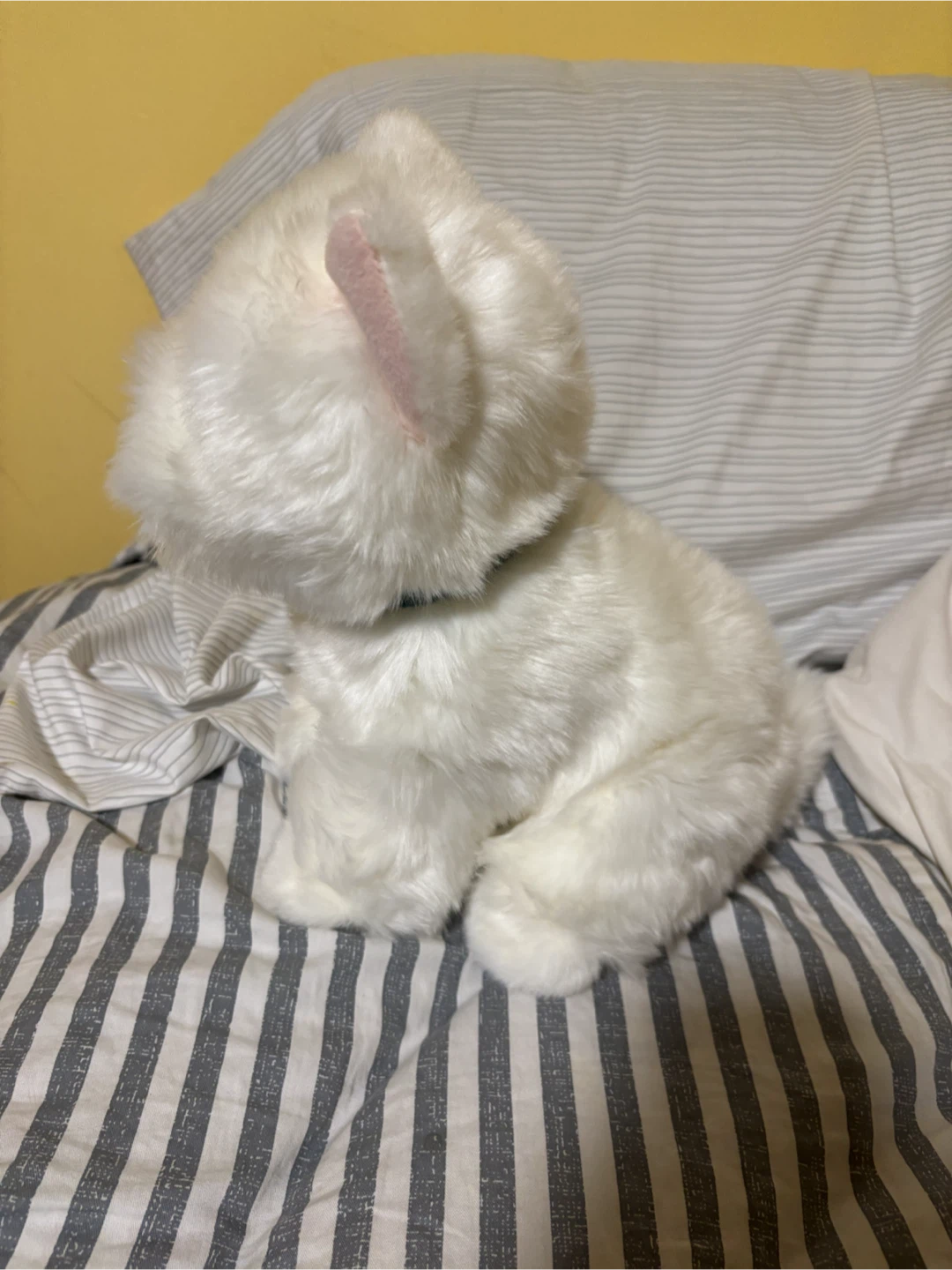 Douglas highland terrier plush like new - photo 2