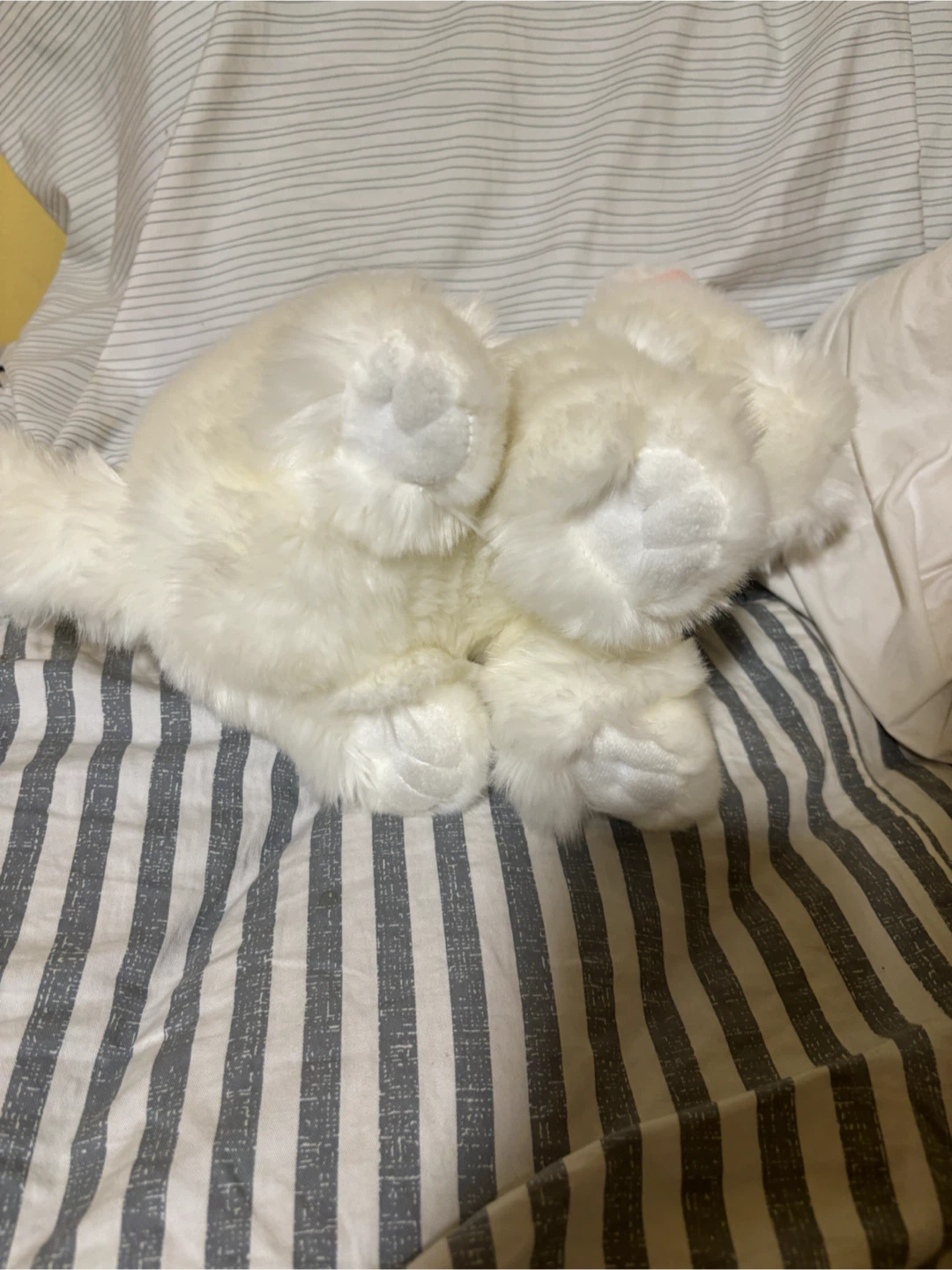 Douglas highland terrier plush like new - photo 3