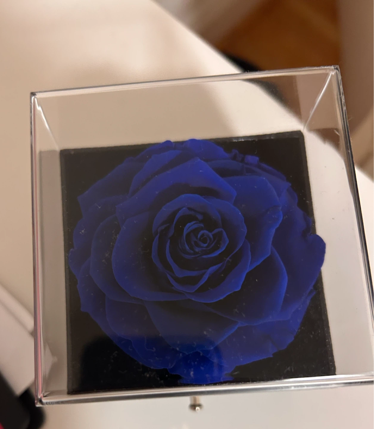 Blue Swarovski Preserved Rose in Display Box - photo 3