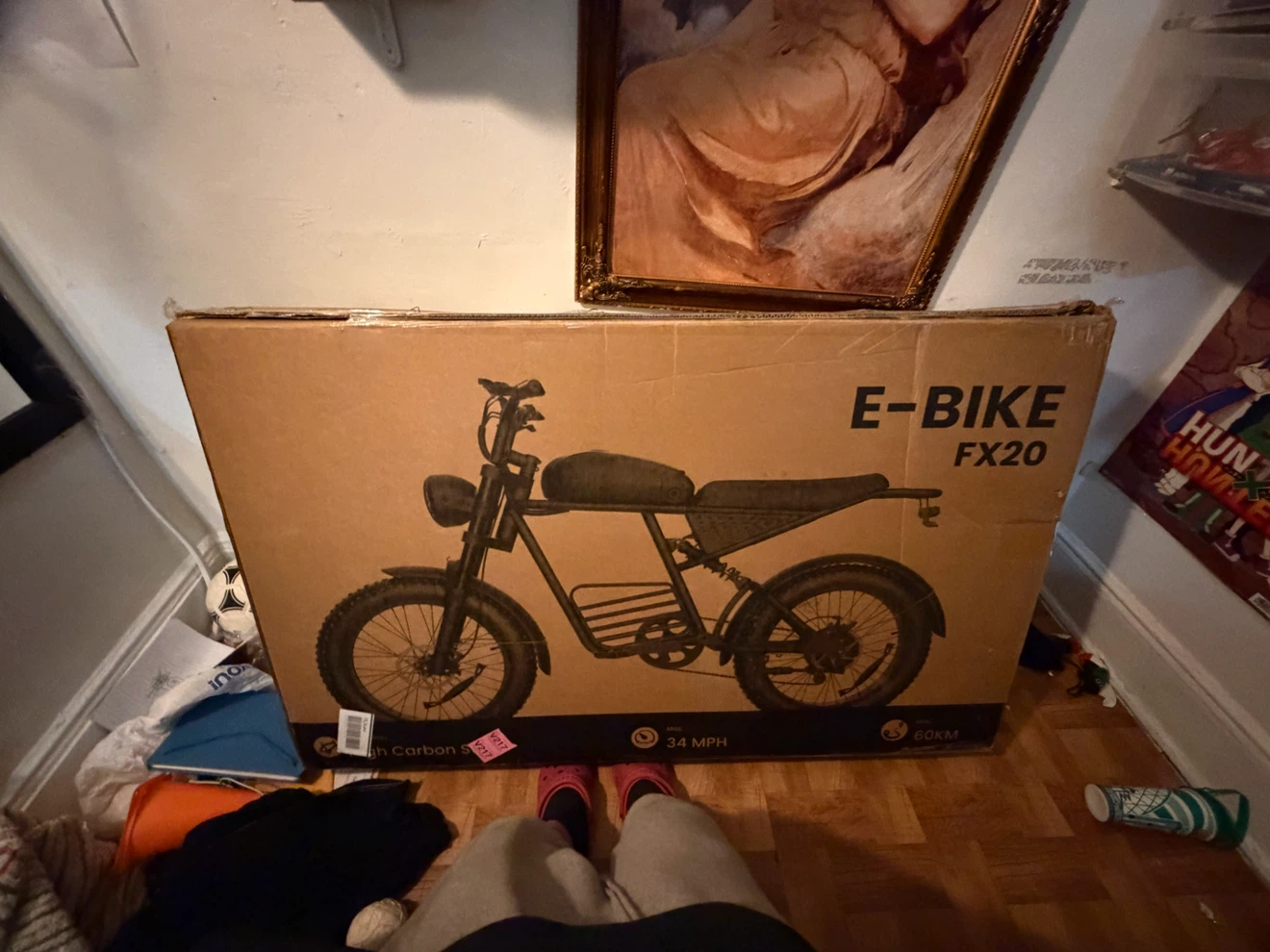 E-BIKE FX20