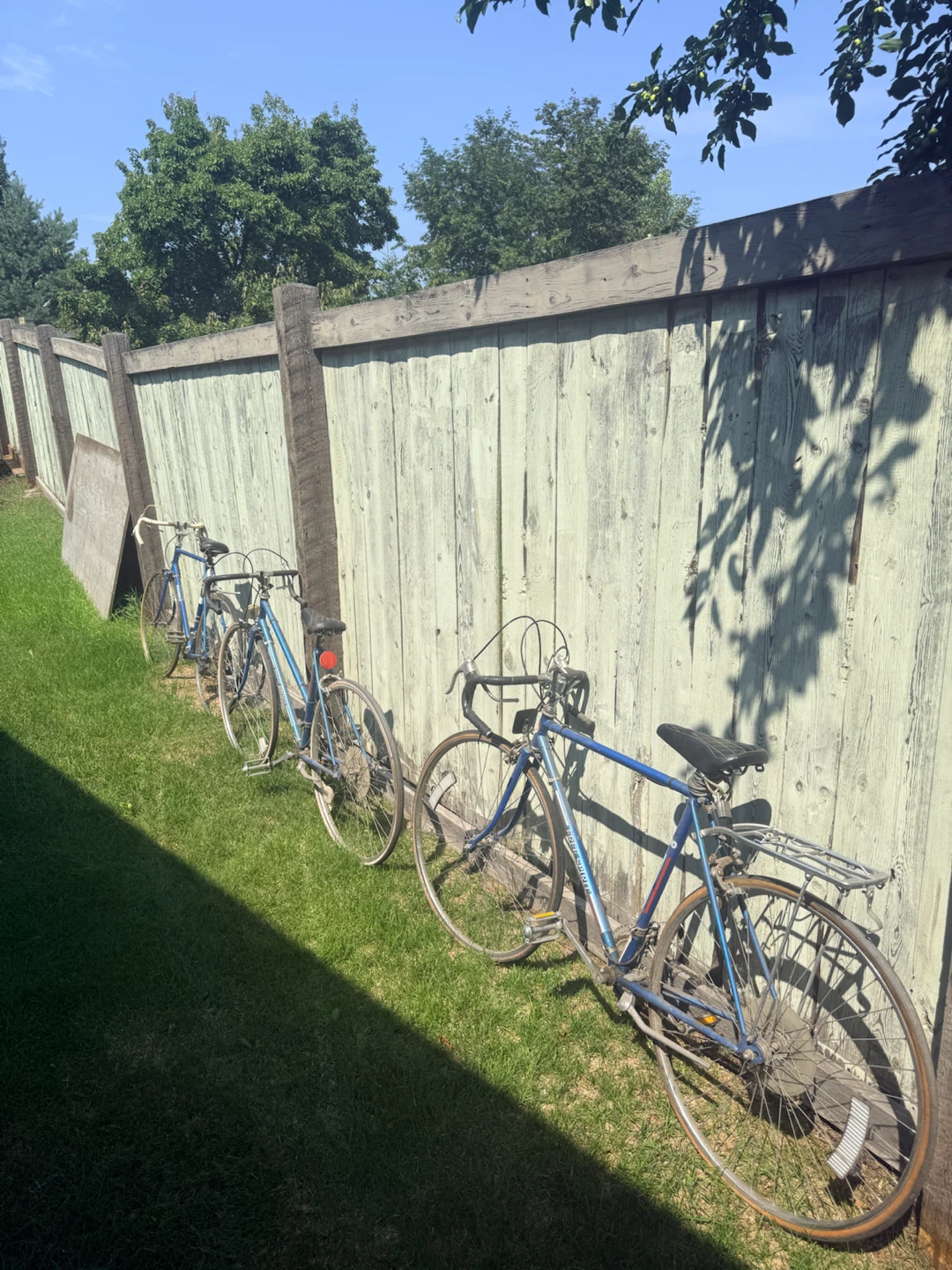 3 Vintage Free Spirit Road Bike - photo 4