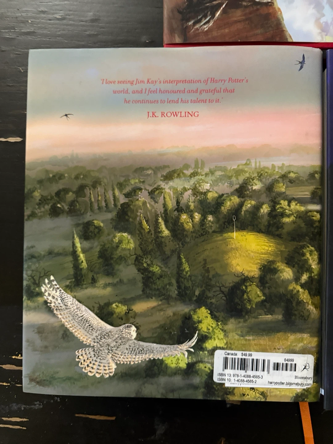 Harry Potter Illustrated Books 1-3 - photo 3