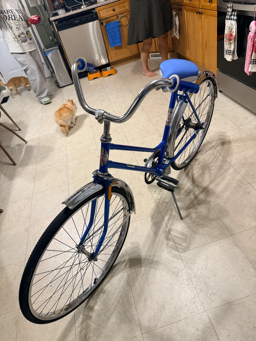 CCM Galaxie Vintage Bike - photo 3
