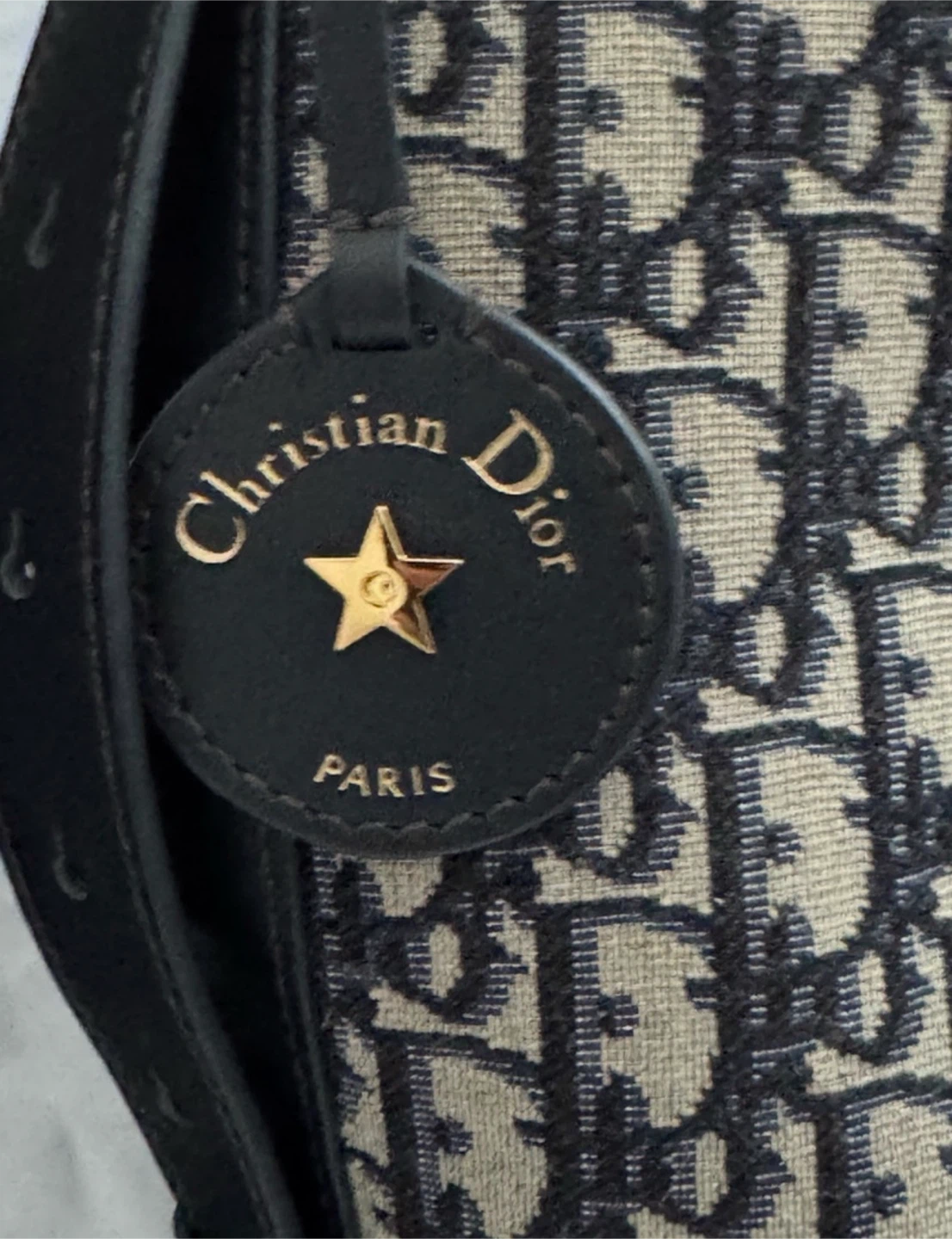 Christian Dior Canvas Oblique Bucket Bag - photo 3