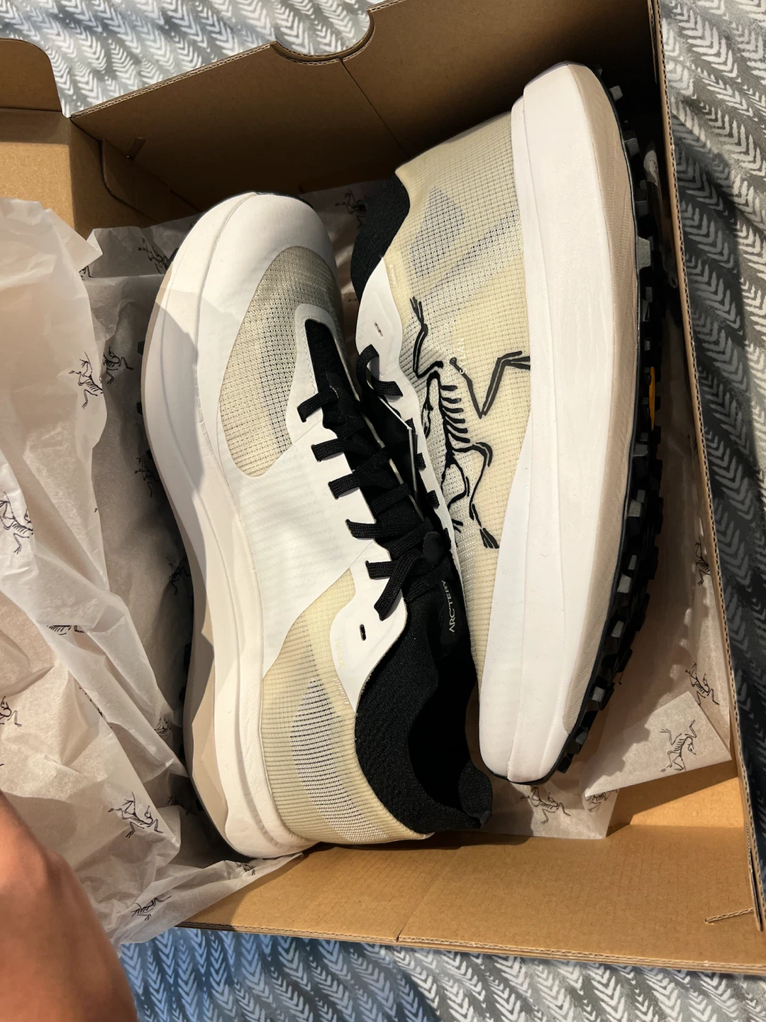 Brand new Arc'teryx Sylan Pro M Shoes