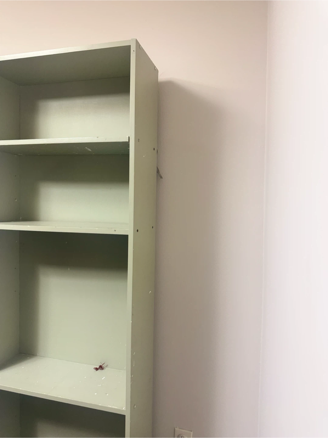 Light Green 5-Shelf Bookshelf - photo 2