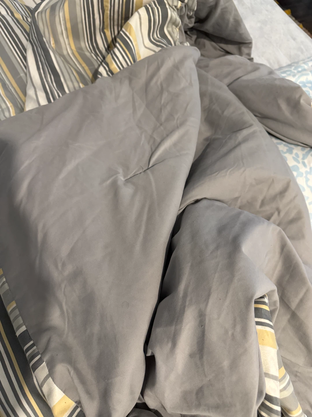 Sears Home Maison Comforter - photo 3