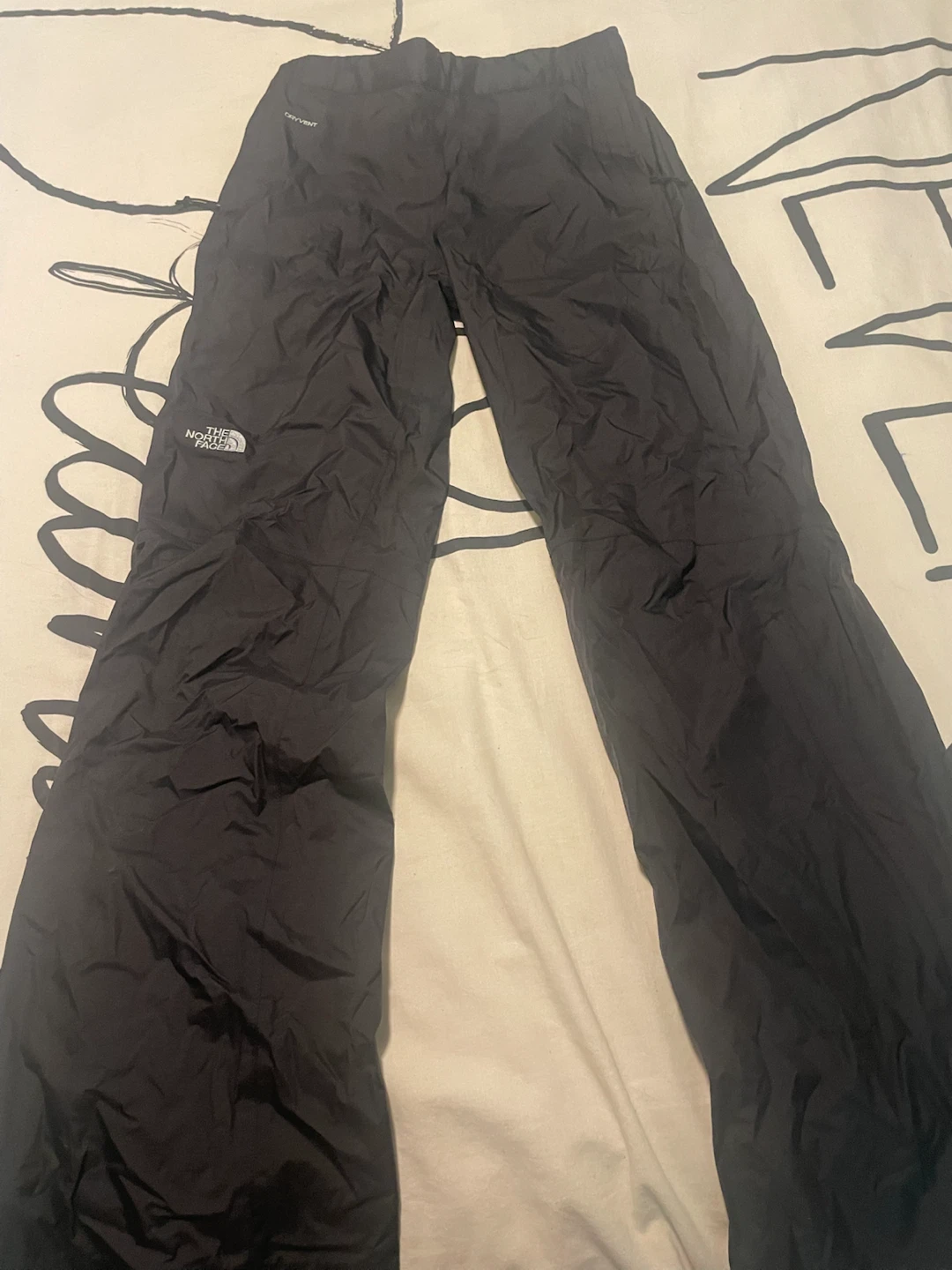The North Face DryVent Pants