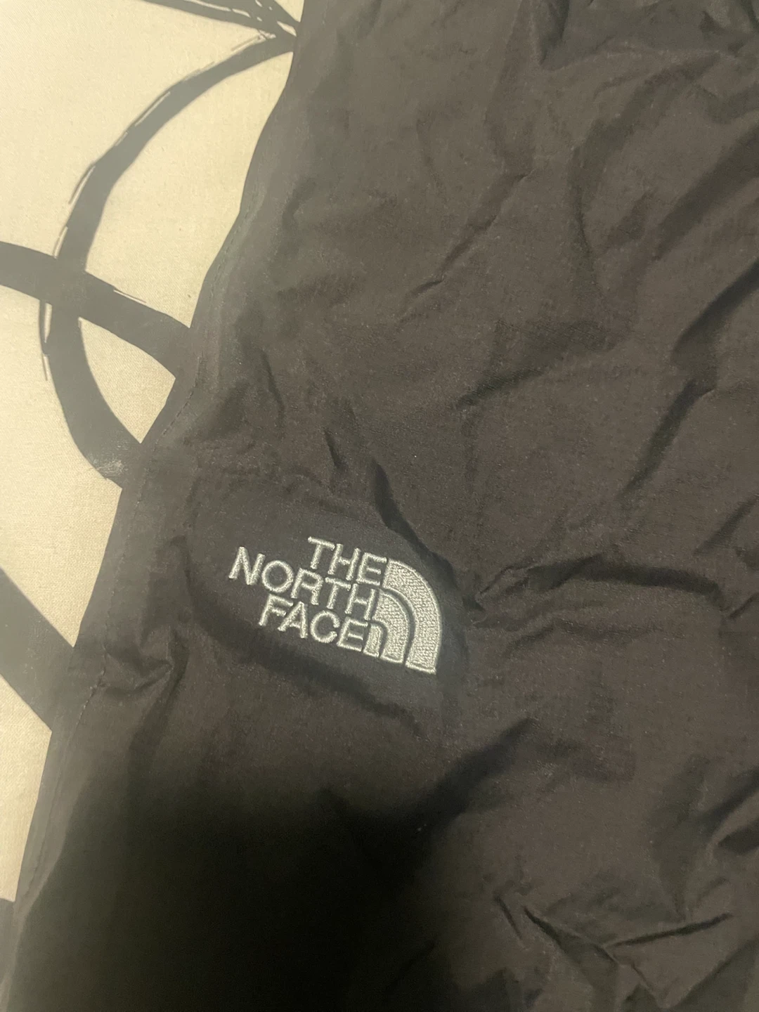 The North Face DryVent Pants - photo 3