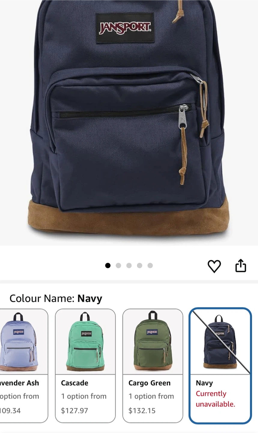 Jansport Backpack