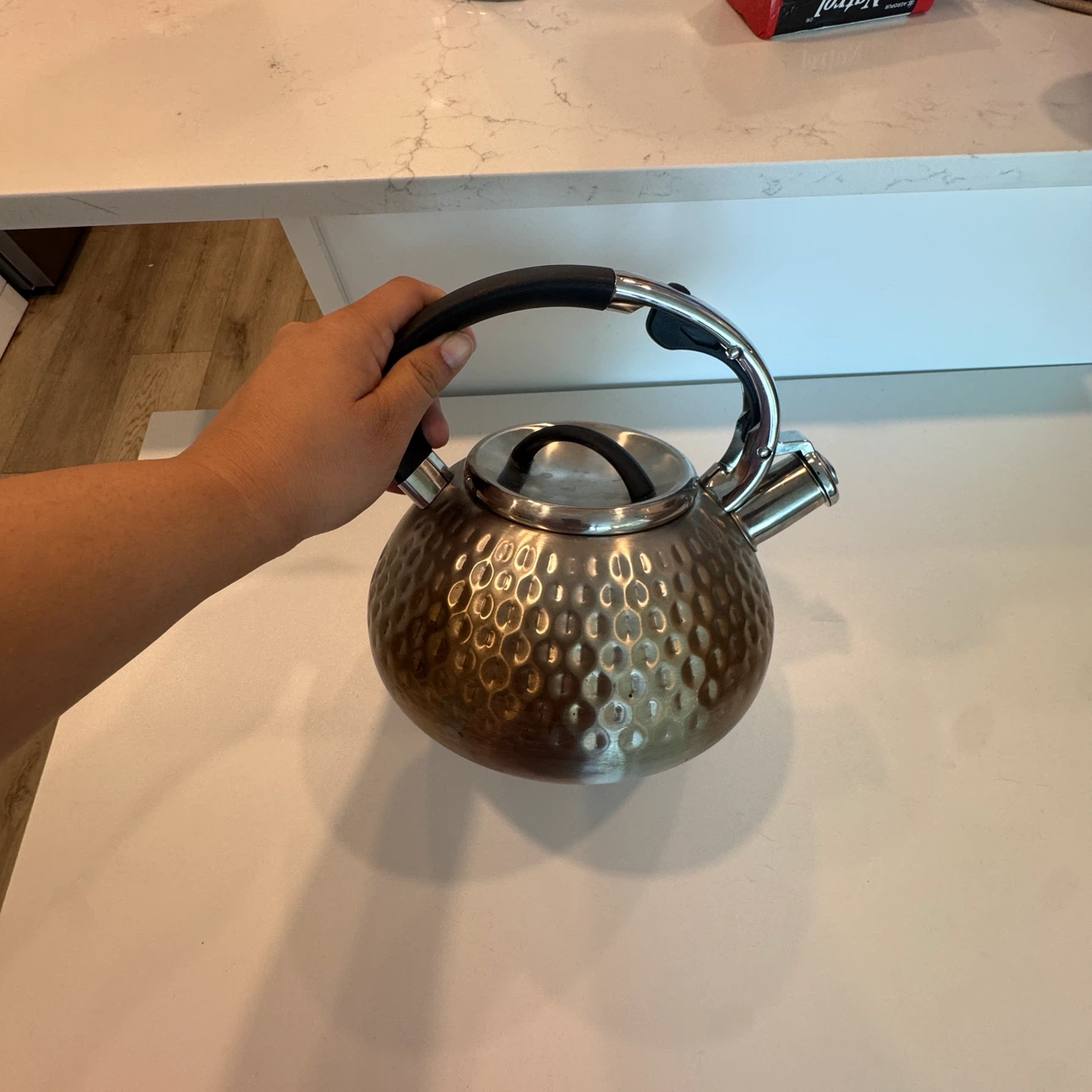 Hammered Stainless Steel Stovetop Kettle
