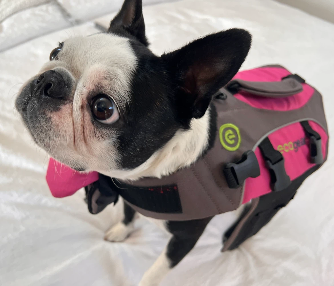 ECOGEAR Dog Life Jacket Vest Pink/Grey - photo 2