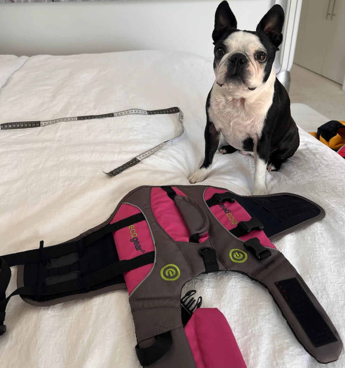ECOGEAR Dog Life Jacket Vest Pink/Grey - photo 5