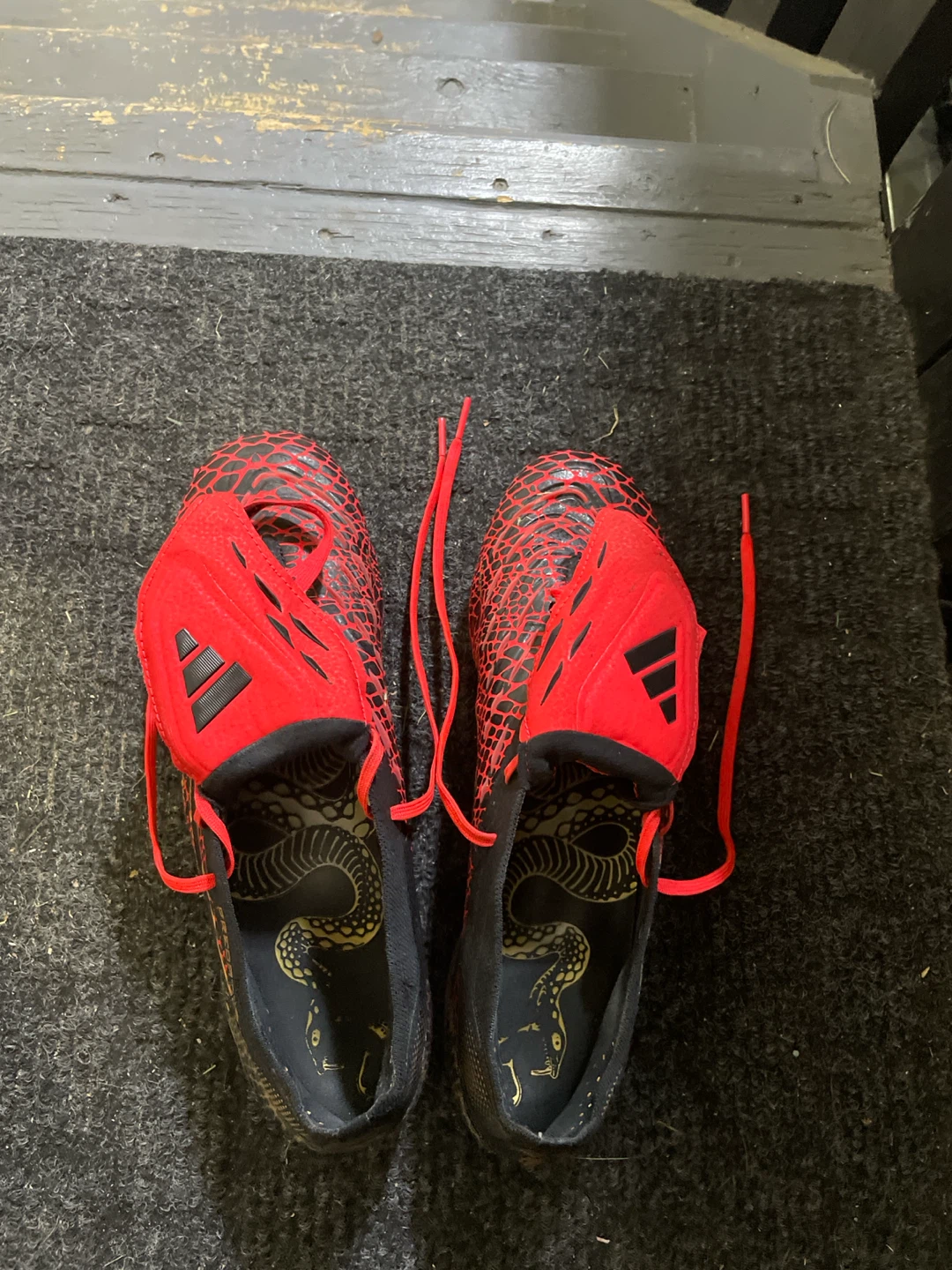 Elite Adidas Predator Soccer Cleats size men’s 8.5 us