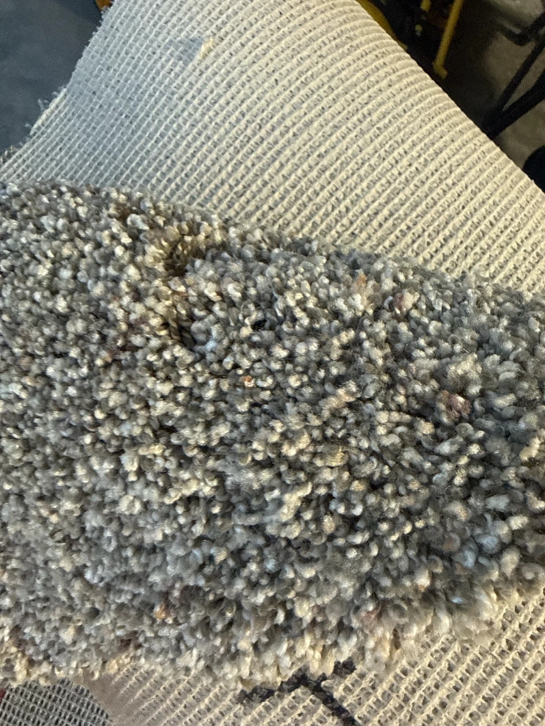6.6 x 12  carpet grey