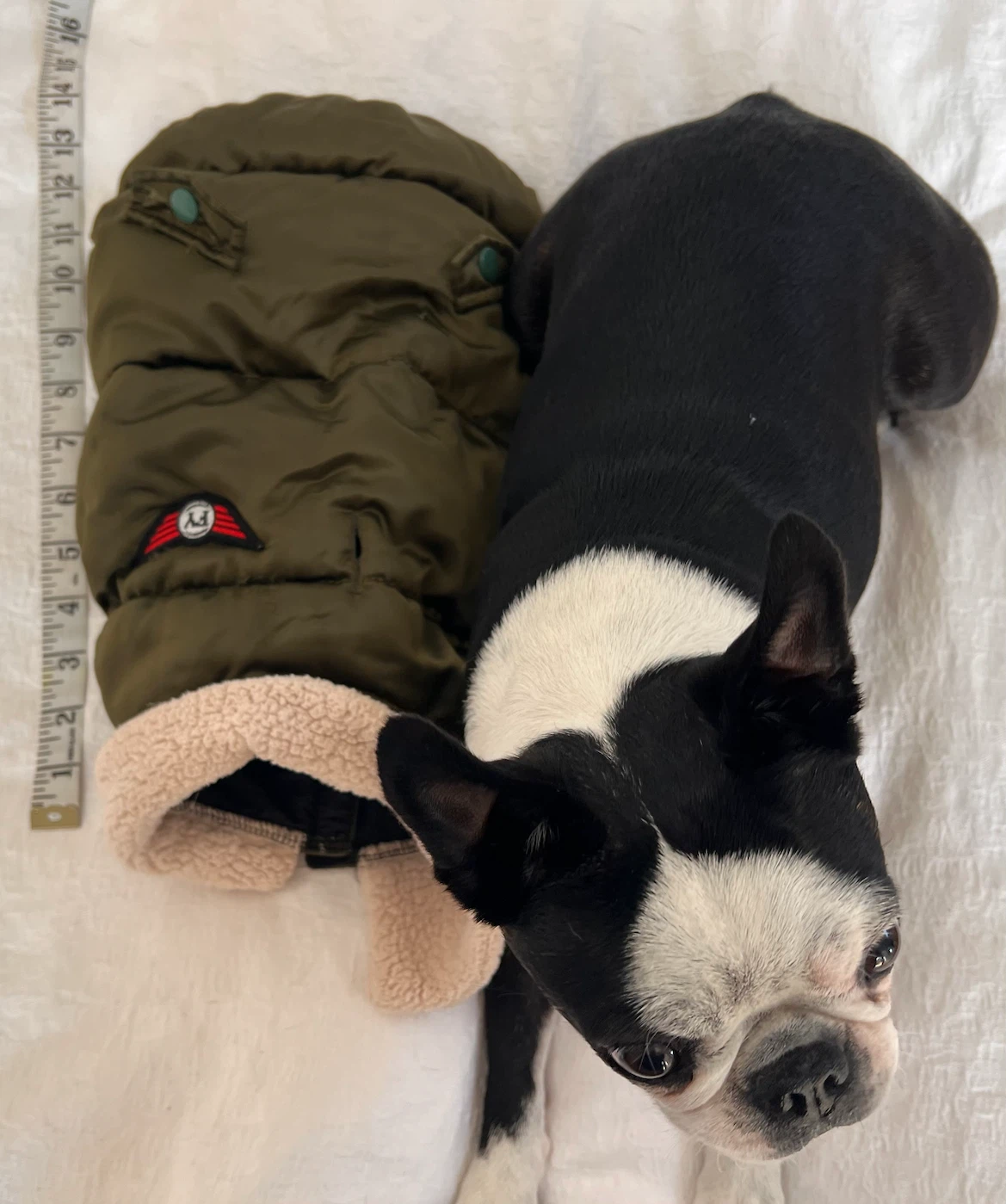 FuzzYard Dog Puffer Winter Coat Size 3