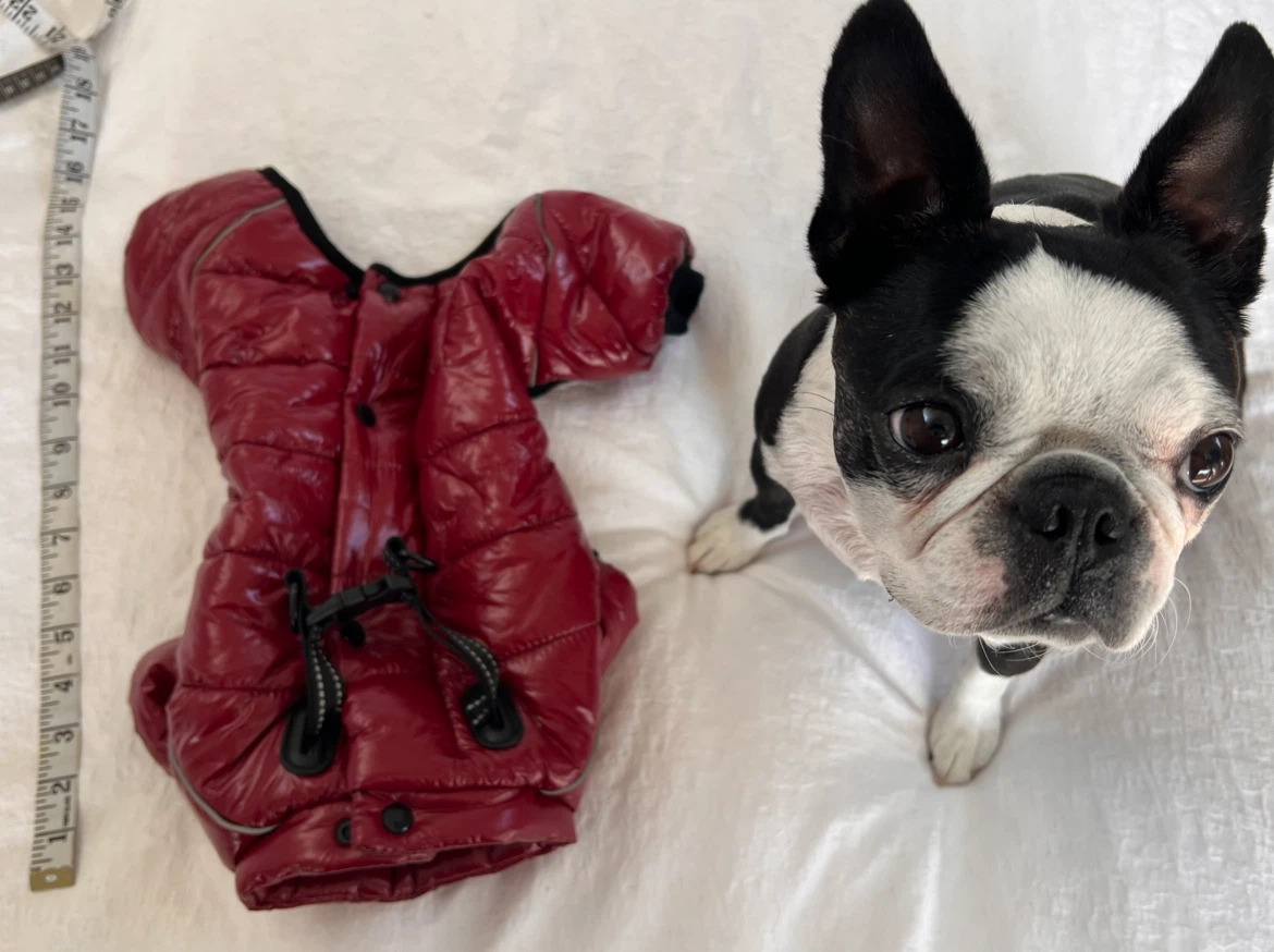 Red Puffer Dog Jacket - Size M