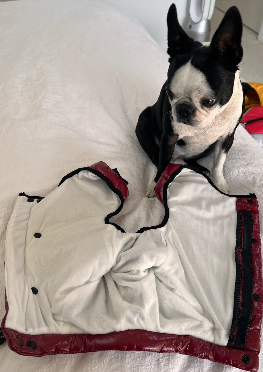 Red Puffer Dog Jacket - Size M - photo 2