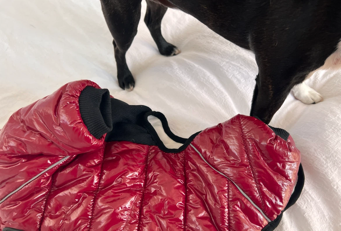 Red Puffer Dog Jacket - Size M - photo 5