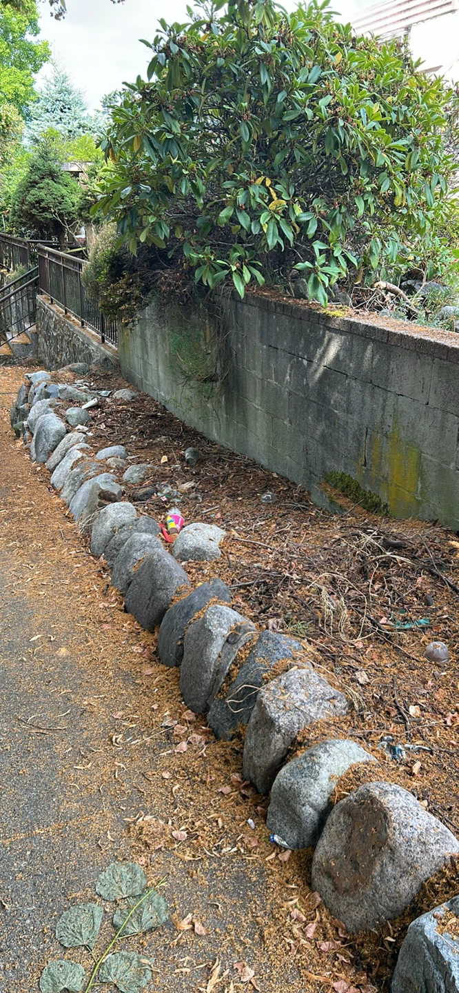 Various Natural Rocks for Landscaping