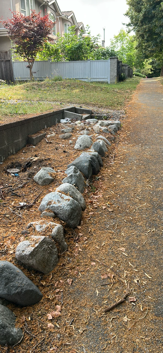 Various Natural Rocks for Landscaping - photo 2