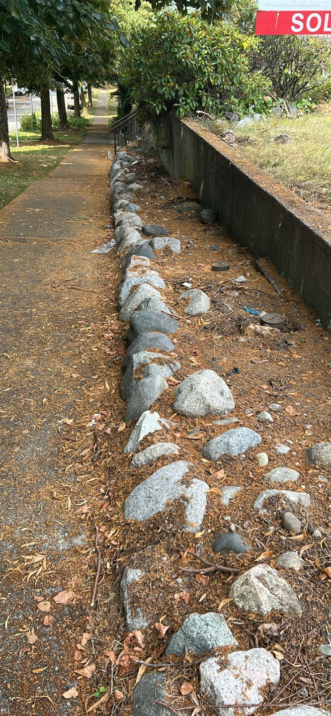 Various Natural Rocks for Landscaping - photo 3