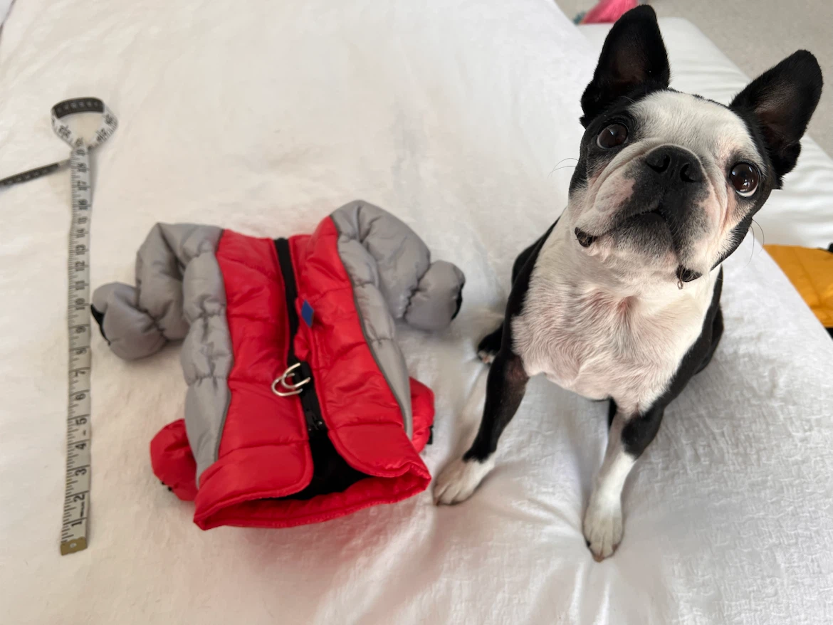 Red and Grey Four-Legged Dog Puffer Coat