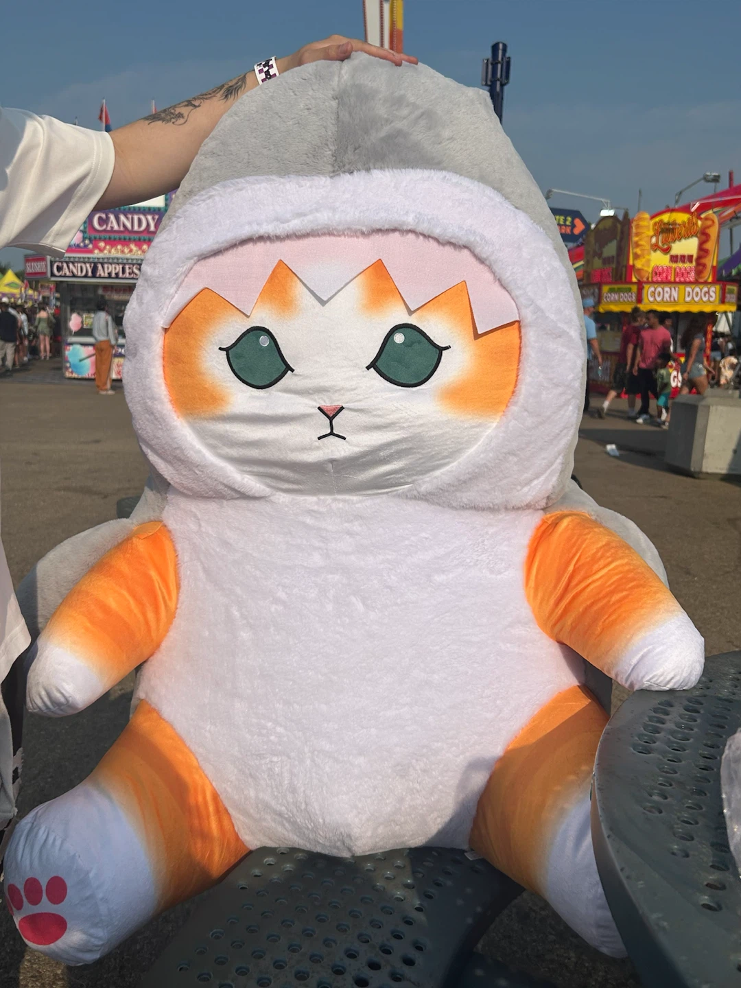 Plush Cat Toy in Shark Costume - photo 2