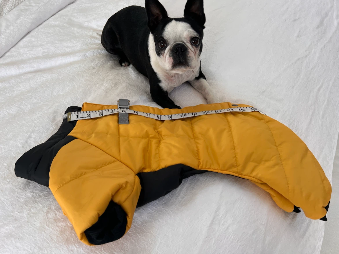 Bright Yellow Dog Winter Coat/snowsuit